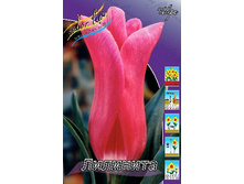 14,75���. ������� ���� ����(���������� ������ ������ ���������� �� 10 ��.).jpg