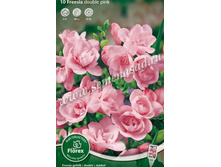 ������ �������� ����.jpg