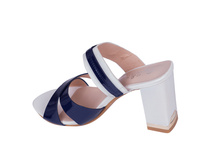 A46-A19 WHITE BLUE-.jpg