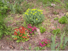 ����� 017.jpg