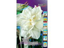 40,74���. ������� ���� �����(�������� ���� �� 5 ��., ����������� ����� 1��.).jpg