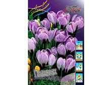 9,13���. ������ ������(���������� ������ ������ ���������� �� 10 ��.).jpg