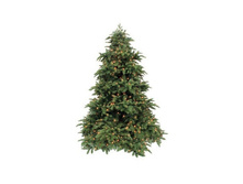 ������ ��� ��������� ����� �������