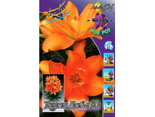 36,1���. ����� ����� ���� �(��� 5 ��. ���������� ������ 2 ��� 3 ��.).jpg