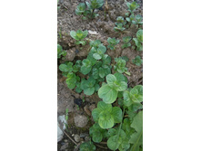 IMG 20160509 180000.jpg