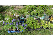 ������ ����������� ���������