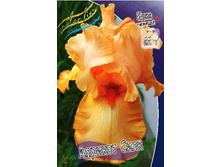 91,55���. ���� ���������� ������� ����(�������� ���� �� 2 ��., ����������� ����� 1��.).jpg