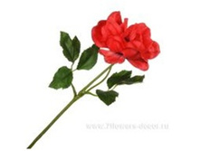 4606500501960 ������ ������������� ������, 41�� 192 170,2.jpg