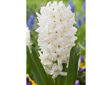 20,14���. ������� ����(��� 5 ��. ���������� ������ 2 ��� 3 ��.).jpg