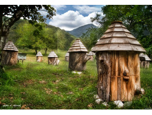 ���� ������ ������ ������.jpg