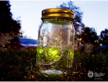 ��������� ��������� ����������.jpg