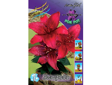 32,23���. ����� ��������(��� 7 ��. ���������� ������ 3 ��� 4 ��.).jpg