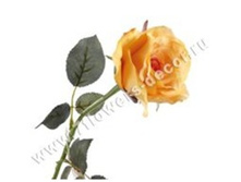 3760169245786 ������ ������������� ���� Brenda, 57�� 144 258,75.jpg