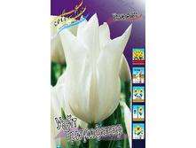 17,56���. ������� ���� ����������(��� 10 ��. ���������� ������ 5��.).jpg