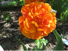 ������ �����! �� ���������������!