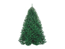 73482 ������ ����� ��������� 260�� �������.