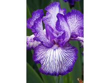 91,55���. ���� ���������� ����� ������(�������� ���� �� 2 ��., ����������� ����� 1��.)���16.jpg