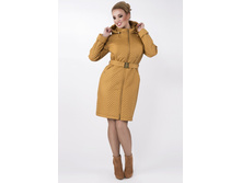 ������� ���������.jpg