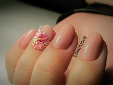 IMG 20160513 160006.jpg