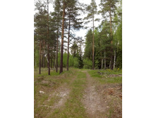 IMG 20160522 142844.jpg