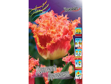 21,3���. ������� ������ ������(��� 10 ��. ���������� ������ 5��.).jpg