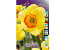 24,11���. ������� ������(��� 10 ��. ���������� ������ 5��.)���15.jpg