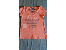 ������ 116 100���