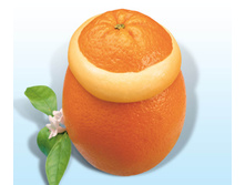 �������� - 169���