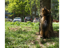 DSC08263.JPG