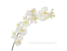 4606500502325 ������ ������������� ���������� ������, 145�� 24 1541.jpg