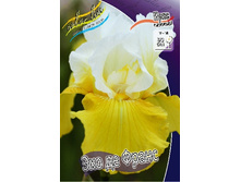 91,55���. ���� ���������� ��� �� �����(�������� ���� �� 2 ��., ����������� ����� 1��.).jpg