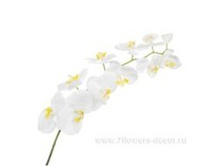 4606500567393 ������ ������������� ����������, 100c� 36 1146,55.jpg