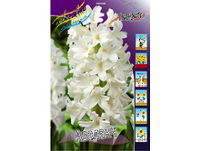 29,5���. ������� �������(��� 5 ��. ���������� ������ 2 ��� 3 ��.).jpg