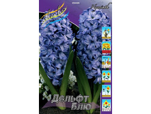 22���. ������� ������ ���(��� 5 ��. ���������� ������ 2 ��� 3 ��.).jpg