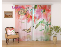 02163 �������� "����� � �����"