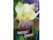 91,55���. ���� ���������� ������� ������(�������� ���� �� 2 ��., ����������� ����� 1��.).jpg