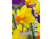 11,38���. ������� ��������(���������� ������ ������ ���������� �� 10 ��.)���16.jpg