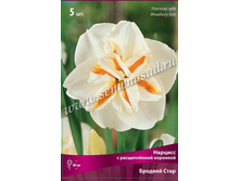 ������� ������� ����.jpg