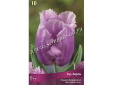 ������� ��� �����.jpg