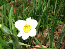 IMG 4759.JPG