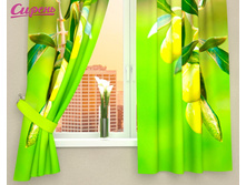 03147 ��������� "����� � ��������"