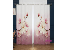 03793  ��������� "������ �����"