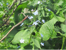 ����� 001.jpg