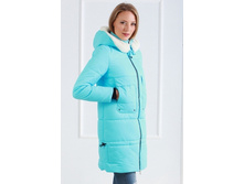 53309 6 1 w280px.jpg