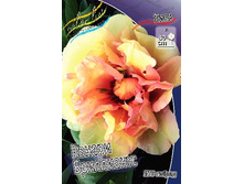 1450���. ���� ������ ���������� (���)(�������� ���� �� 1 ��., ����������� ����� 1��.).jpg