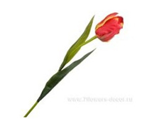 4606500501946 ������ ������������� �������, 51�� 288 169,05.jpg