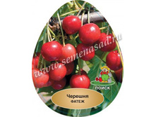 ������� �����.jpg