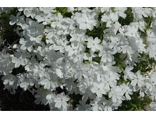 ����� ���������� ����� 90� ���� 2.jpg