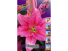 29���. ����� �����(��� 7 ��. ���������� ������ 3 ��� 4 ��.).jpg