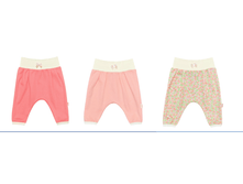 107*163 �������� ��� �������.png